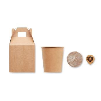 Set pino - Imagen 6