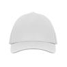 Gorra baseball