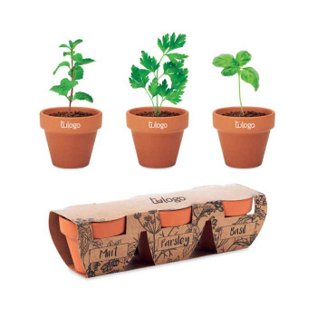 Macetas con Semillas Majorelle