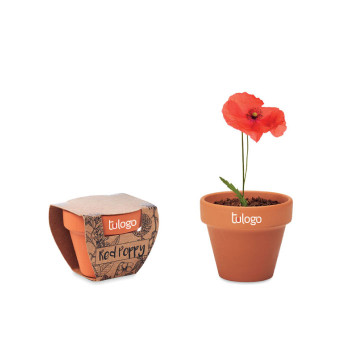 Maceta de Amapola Royal