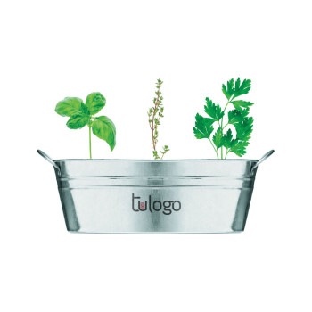 Maceta con Semillas Crathes