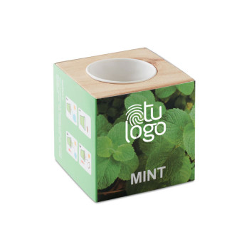 Maceta de Menta Sissinghurts