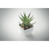 Mini planta artificial