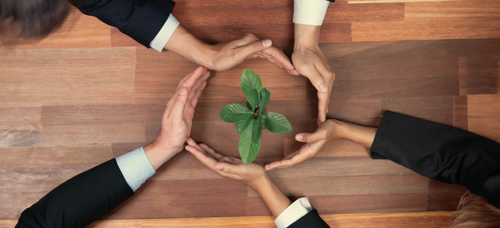 Cómo transmitir valores e imagen empresariales enfocados en la sostenibilidad 1